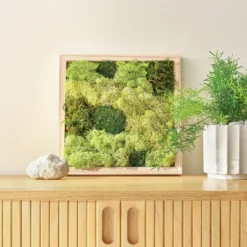 Preserved Moss Art Wood Craft Kit - Mondo Llama™ -Artful Craft Shop GUEST 3f894b7b 1e8e 403c a1b7 20904893be85